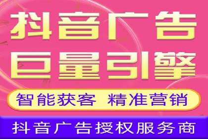 成功SEM服务案例：优化广告投放